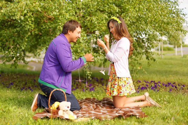 Ungt par i parken på picknick. Kärlekshistoria — Stockfoto