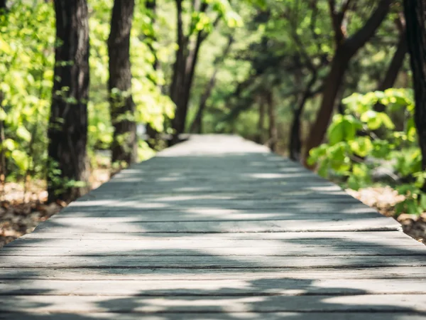 Pista de passarela no parque Jardim ao ar livre floresta fundo — Fotografia de Stock