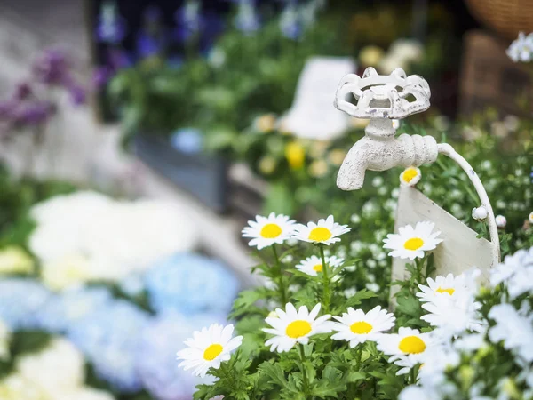 Vattenkran i trädgården med vita blommor utomhus dekoration — Stockfoto