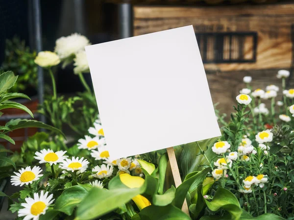 Attrappe Papierschild mit Gänseblümchen Blumen Garten im Freien Hintergrund — Stockfoto