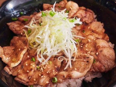 Pork Rice Bowl menüsü Japon yemeği Donburi menüsü Japon geleneği mutfağı