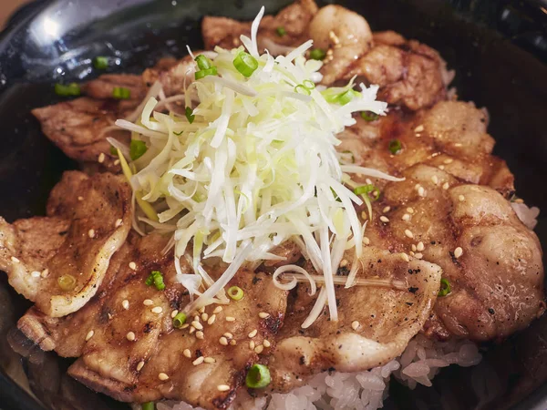 Pork Rice Bowl menüsü Japon yemeği Donburi menüsü Japon geleneği mutfağı