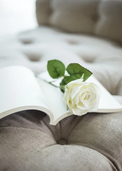 Libro en sofá con rosa blanca — Foto de Stock