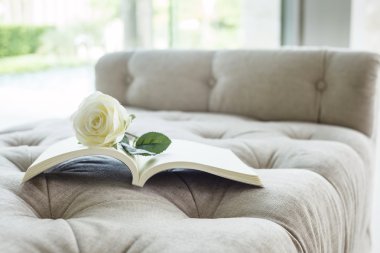 Beyaz gül ile kanepede kitap