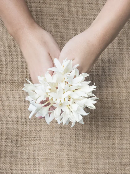 Frauenhände mit weißen Blüten, natürliches Konzept. — Stockfoto