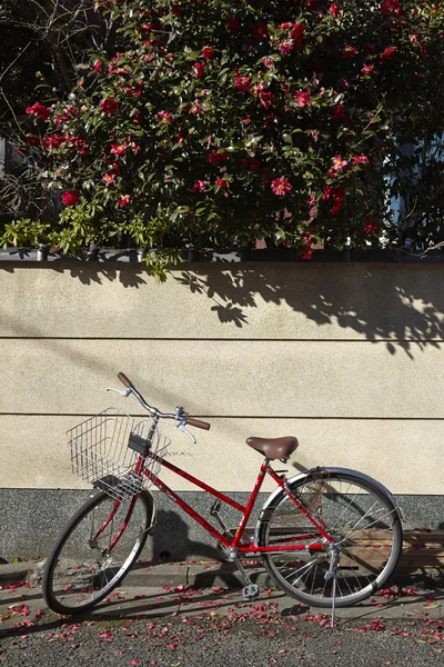 Cykel med væg baggrund - Stock-foto