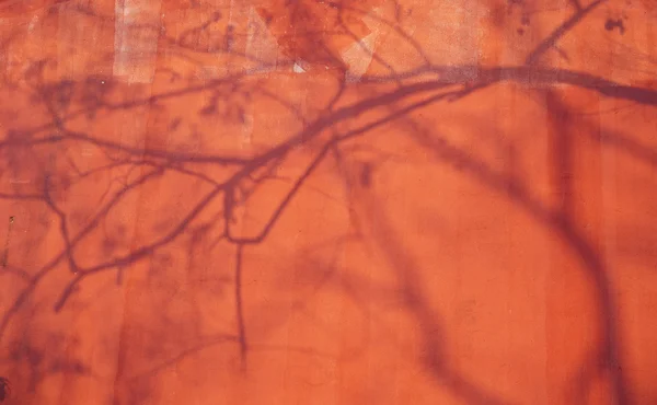 Baum hinterlässt Schatten auf rotem Wandhintergrund — Stockfoto