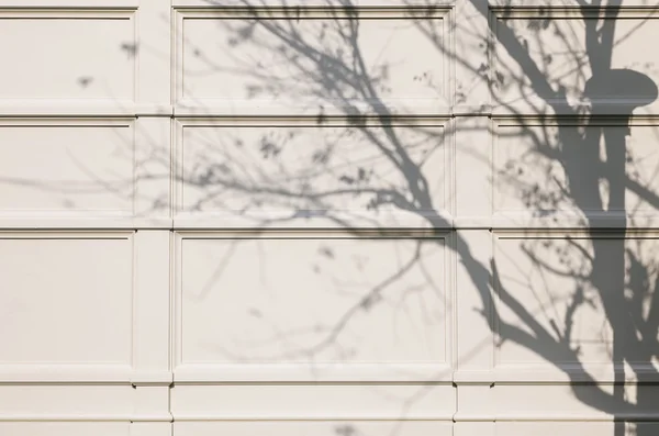 Árbol rama sombra en fondo de pared — Foto de Stock