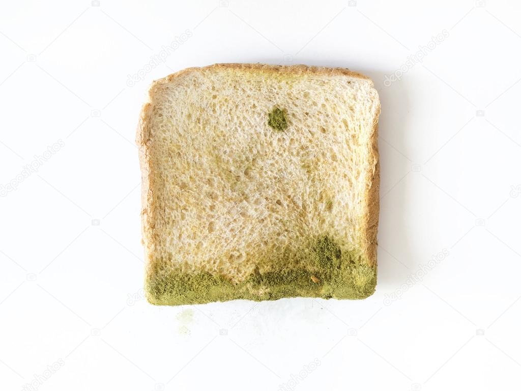 Mold on sliced bread isolated