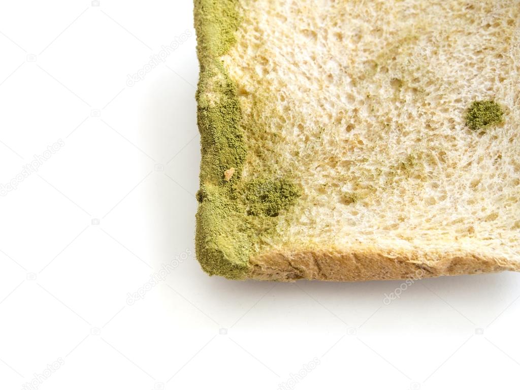 Mold on Sliced bread isolated