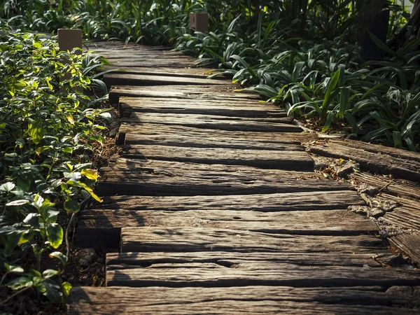 Trail Track Wooden path way running outdoor — Stock Photo, Image