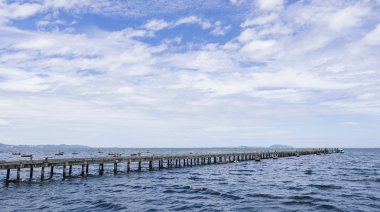 Köprü ve okyanus manzara