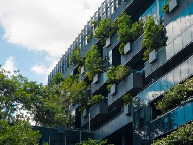 Modern Yapı Dış Cam Cephesi Ağaçlar Çevre Dışı Çevre Sürdürülebilir Mimarisi