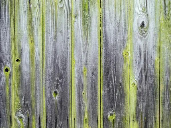Деревянная панель с деревенской текстурой зеленого мха — стоковое фото