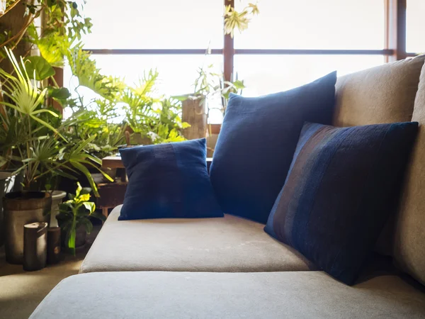 在沙发上的枕头坐在客厅里阳光窗口与绿色的植物 — 图库照片