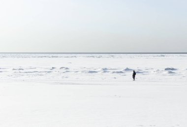 Donmuş denizin arka planındaki adam.