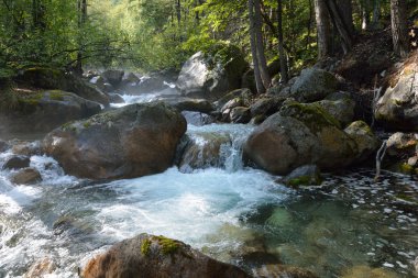 Barguzinskaya ormandaki nehir dağ