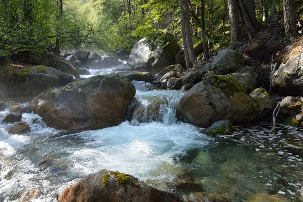 Barguzinskaya ormandaki nehir dağ