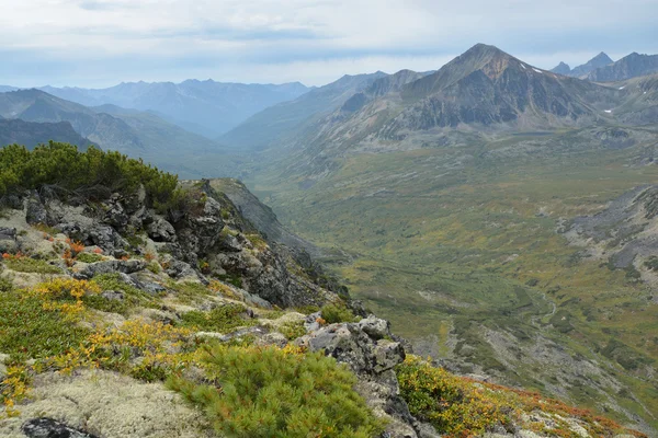 Valley in the mountains with a height of Barguzin range on the l — Stock Photo, Image