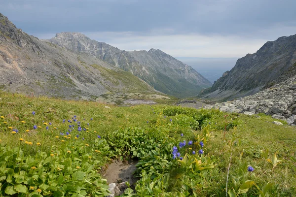 El valle en las montañas de la cresta de Barguzin en el lago Baikal — Foto de Stock