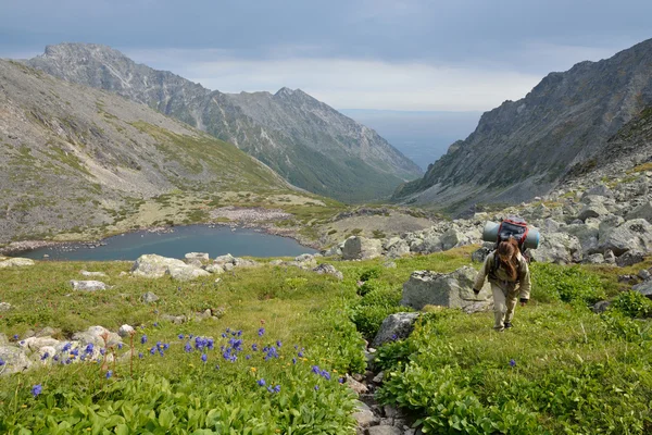 Girl tourist goes uphill with a backpack — Stock Photo, Image