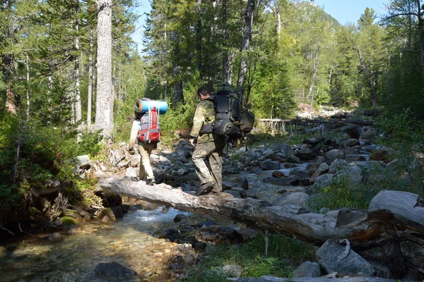 Turistas hombre y mujer moviendo río de montaña sobre árboles caídos . —  Fotos de Stock