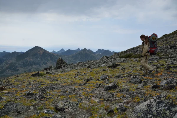 Mujer joven turista caminando en la cima de la cresta de la montaña Barguzi — Foto de Stock