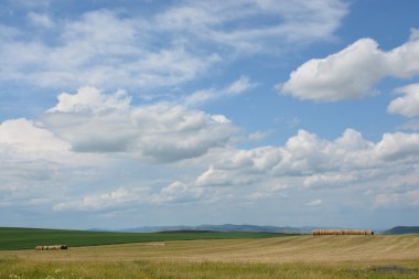 Saman alanlarındaki Silindirler.