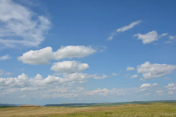 Silindirler saman alanları üzerinde