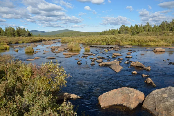 Sibirya dağ sonbaharda nehirde