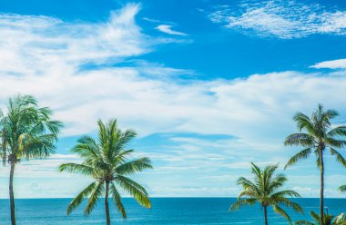 Beach Phuket Tayland palmiye ağacı seabeach tarafından
