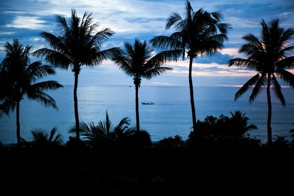 Beach Phuket Tayland palmiye ağacı seabeach tarafından