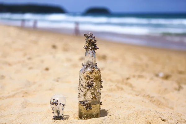 Bottle and a lamp in the coral on the sand on the beach against the sea — Stock Photo, Image