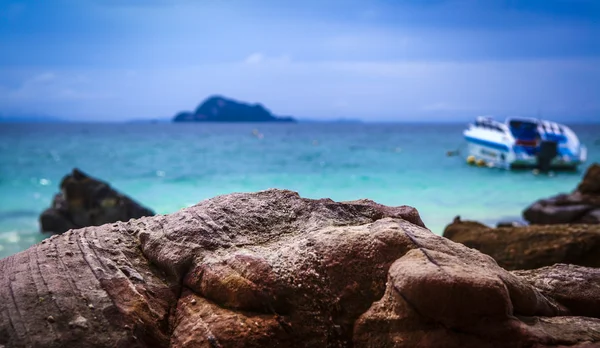 Deserted wild beach — Stock Photo, Image