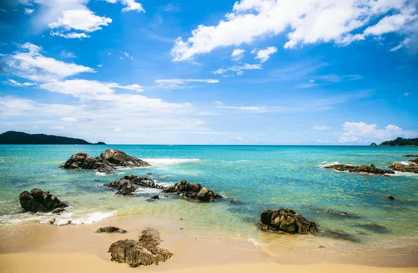 Playa Phuket Tailandia palmera junto al fondo marino —  Fotos de Stock