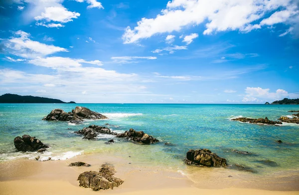 Beach Phuket Thailand palm tree av seabeach — Stockfoto