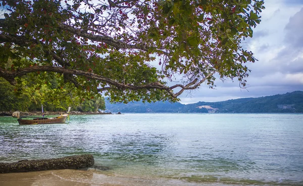 Deserted wild beach — Stock Photo, Image