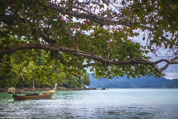 Plage sauvage déserte — Photo