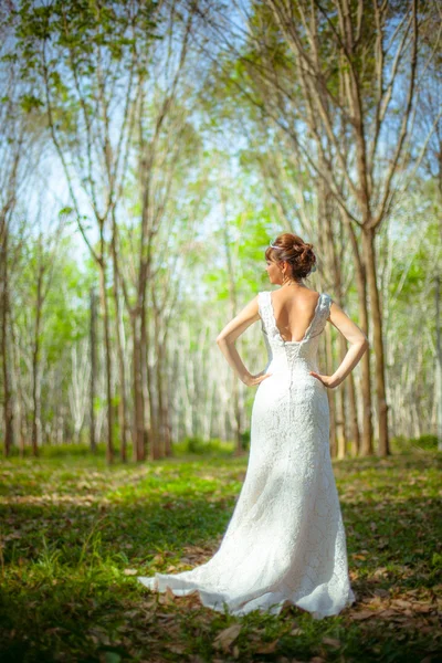 Девушка в свадебном платье в лесу — стоковое фото