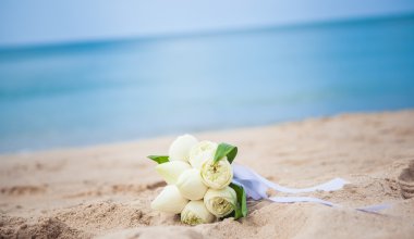 Buket lotus eski üç çim kumsalda denizde arka plan üzerinde düğün