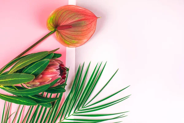 Розовом Сером Фоне Протея Цветки Сирени Листья Пальмы Плоский Стиль — стоковое фото