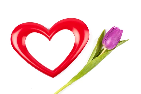 Fototelaio cuore e tulipano — Foto Stock