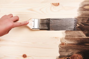 Boya fırçası smear