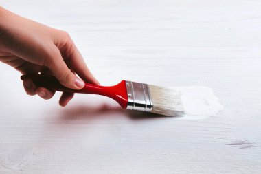 bir boya fırçası tutan el