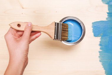 Boya fırçası smear