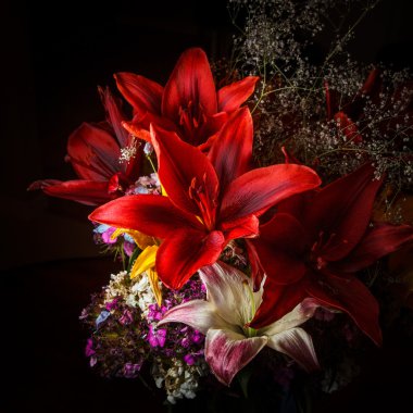 Diğer çiçek aranjmanı kırmızı Daylily
