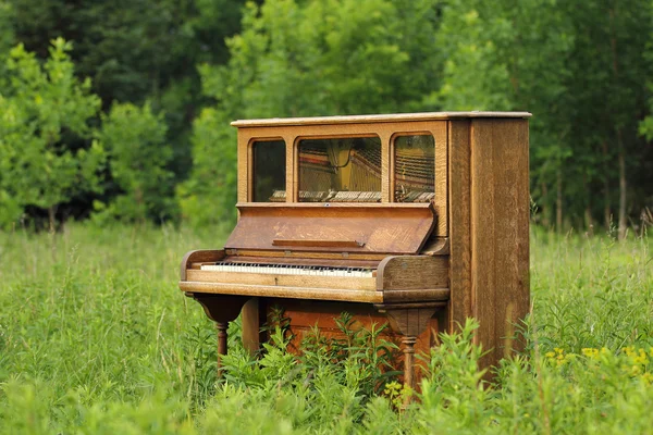 Altes Klavier auf der grünen Wiese aufgegeben — Stockfoto
