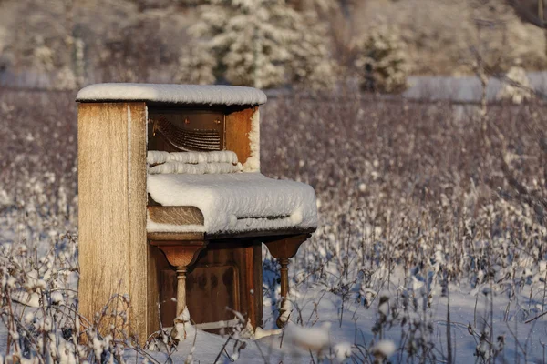 Pianoforte abbandonato nel campo invernale — Foto Stock