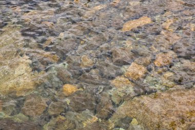 Arka plan - Lake Tahoe