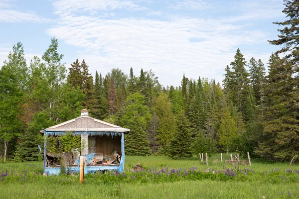 Abandoned House or Shack in the Woods — Stock Photo, Image